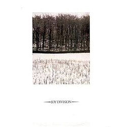 Joy Division - The monochrome architects of post-punk shadows.